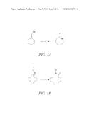 GAS AND LIQUID PHASE CATALYTIC BECKMANN REARRANGEMENT OF OXIMES TO PRODUCE     LACTAMS diagram and image