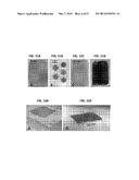 TIP-LOADED MICRONEEDLE ARRAYS FOR TRANSDERMAL INSERTION diagram and image
