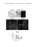 TIP-LOADED MICRONEEDLE ARRAYS FOR TRANSDERMAL INSERTION diagram and image