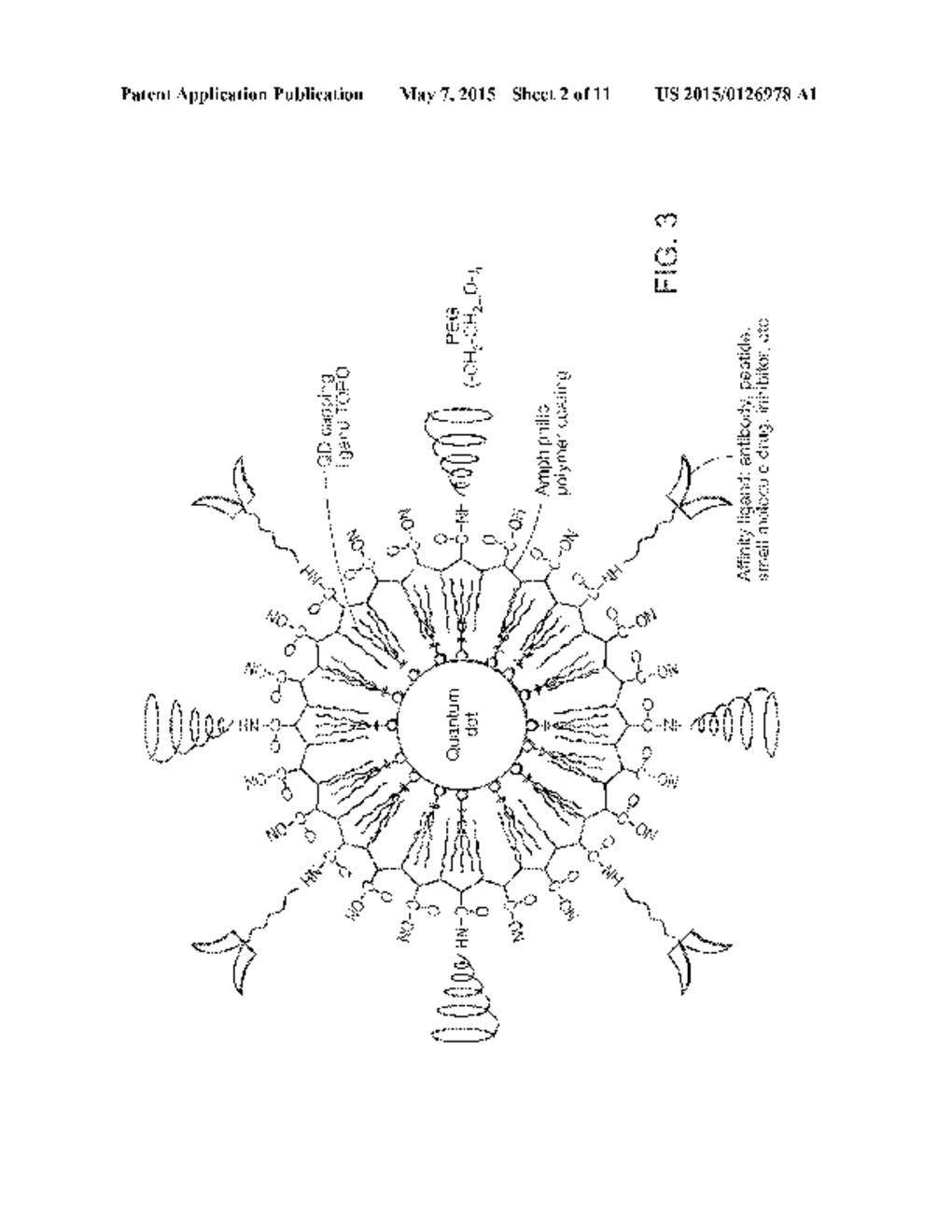 METHODS AND DEVICES FOR LOCALIZED INHIBITION OF INFLAMMATION BY ABLATION - diagram, schematic, and image 03