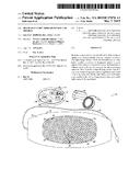 Shapeable Light Therapy Device and Method diagram and image