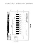 SYSTEMS AND METHODS FOR FORECASTING FINANCIAL RISK diagram and image