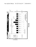 SYSTEMS AND METHODS FOR FORECASTING FINANCIAL RISK diagram and image