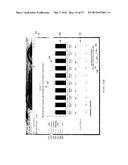 SYSTEMS AND METHODS FOR FORECASTING FINANCIAL RISK diagram and image