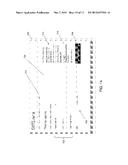 System and Method for Capturing Exit Transaction Data diagram and image