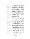 UBIQUITIN REGULATORY ELEMENTS diagram and image