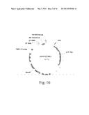 Optimal Soybean Loci diagram and image