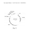 Optimal Soybean Loci diagram and image