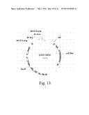 Optimal Soybean Loci diagram and image