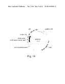 Optimal Soybean Loci diagram and image