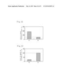 EXHAUST GAS PURIFICATION SYSTEM AND EXHAUST GAS PURIFICATION METHOD diagram and image