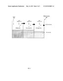 Glass Microspheres Made From a Redox Active Glass, and Methods of     Producing Glass Microspheres diagram and image