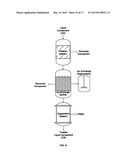 SYSTEM FOR TREATMENT OF BIOMASS TO FACILITATE THE PRODUCTION OF ETHANOL diagram and image