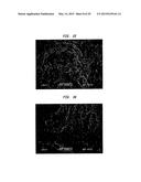 METHOD OF MAKING A FABRIC-CREPED ABSORBENT CELLULOSIC SHEET diagram and image