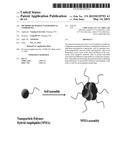 METHODS OF MAKING NANOPARTICLE COMPOSITES diagram and image