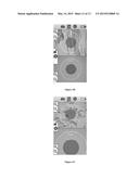 APPARATUS FOR IMAGE MANIPULATION AND ANALYSIS ON PAIRED IMAGES IN FIBER     OPTIC TEST diagram and image