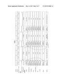 DISPLAY DRIVER, DISPLAY SYSTEM AND MICROCOMPUTER diagram and image