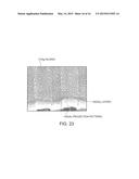 OPTICAL DEVICE AND DETECTION APPARATUS diagram and image