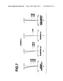 ENDOSCOPIC OBJECTIVE LENS AND ENDOSCOPE diagram and image