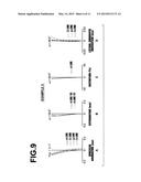 ENDOSCOPIC OBJECTIVE LENS AND ENDOSCOPE diagram and image