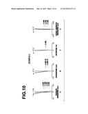 ENDOSCOPIC OBJECTIVE LENS AND ENDOSCOPE diagram and image