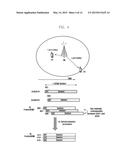 METHOD AND APPARATUS OF CONFIGURING DOWNLINK TIMING AND TRANSMITTING     RANDOM ACCESS RESPONSE IN MOBILE COMMUNICATION SYSTEM USING CARRIER     AGGREGATION diagram and image