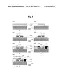 SILICON DBR STRUCTURE-INTEGRATED LIGHT ELEMENT, AND PREPARATION METHOD diagram and image