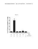 DISEASE THERAPY BY INDUCING IMMUNE RESPONSE TO TROP-2 EXPRESSING CELLS diagram and image