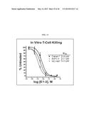 DISEASE THERAPY BY INDUCING IMMUNE RESPONSE TO TROP-2 EXPRESSING CELLS diagram and image