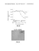 ANTI-Ly6E ANTIBODIES AND METHODS OF USE diagram and image