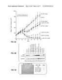 ANTI-Ly6E ANTIBODIES AND METHODS OF USE diagram and image