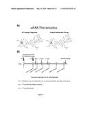 177-Lu LABELED PEPTIDE FOR SITE-SPECIFIC uPAR-TARGETING diagram and image