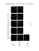 Compositions and Imaging Methods Comprising Detectably Labeled     Phosphatidylethanolamine-Binding Peptides diagram and image