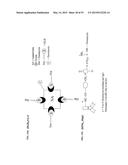 Compositions and Imaging Methods Comprising Detectably Labeled     Phosphatidylethanolamine-Binding Peptides diagram and image