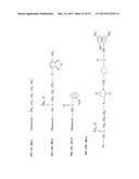 Compositions and Imaging Methods Comprising Detectably Labeled     Phosphatidylethanolamine-Binding Peptides diagram and image