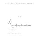 Compositions and Imaging Methods Comprising Detectably Labeled     Phosphatidylethanolamine-Binding Peptides diagram and image