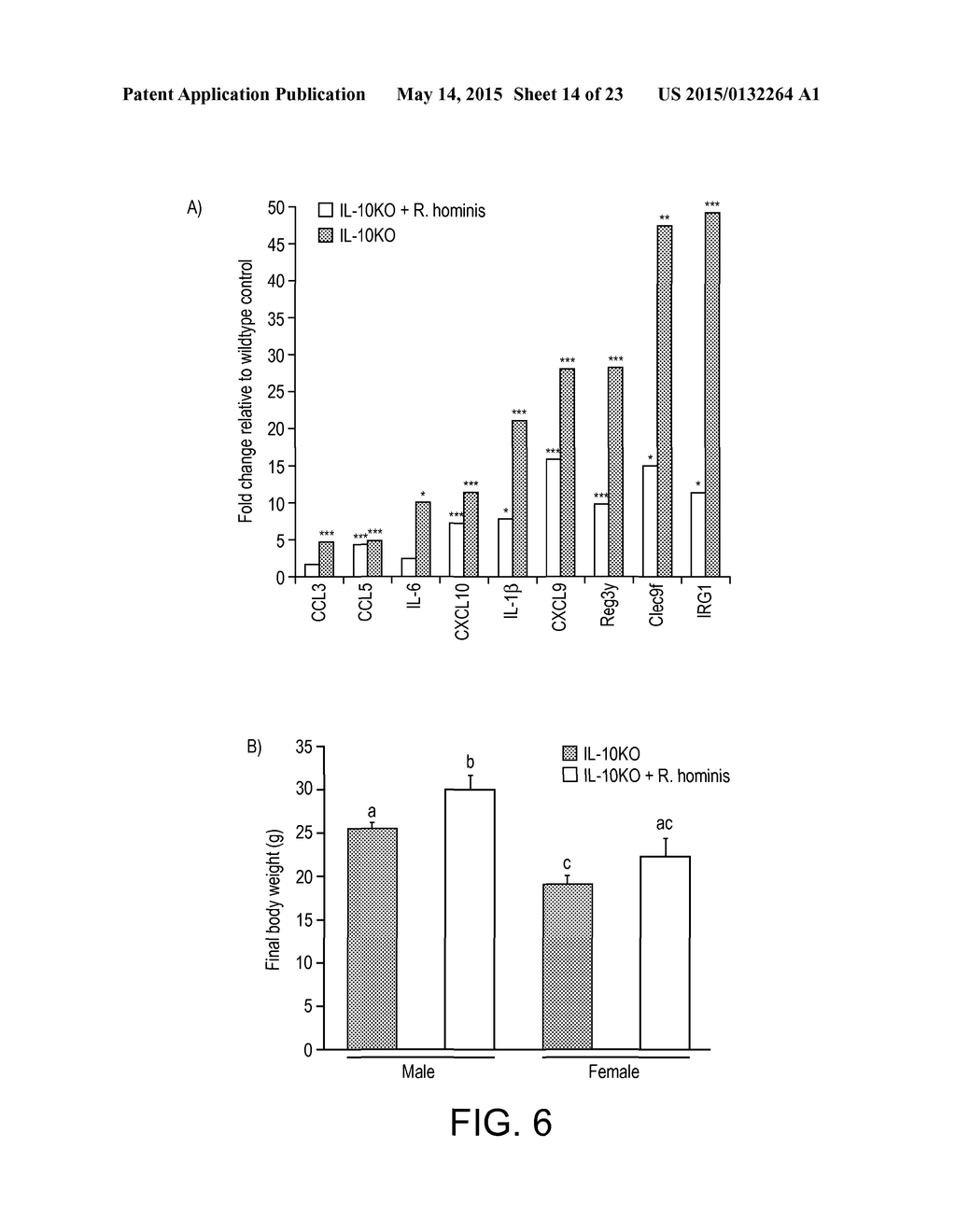 BACTERIUM FOR USE AS A PROBIOTIC FOR NUTRITIONAL AND MEDICAL APPLICATIONS - diagram, schematic, and image 15