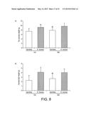 BACTERIUM FOR USE AS A PROBIOTIC FOR NUTRITIONAL AND MEDICAL APPLICATIONS diagram and image