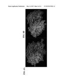 VARIANTS OF TACE PRO-DOMAIN AS TNF-A INHIBITOR AND THEIR MEDICAL USE diagram and image