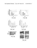 VARIANTS OF TACE PRO-DOMAIN AS TNF-A INHIBITOR AND THEIR MEDICAL USE diagram and image