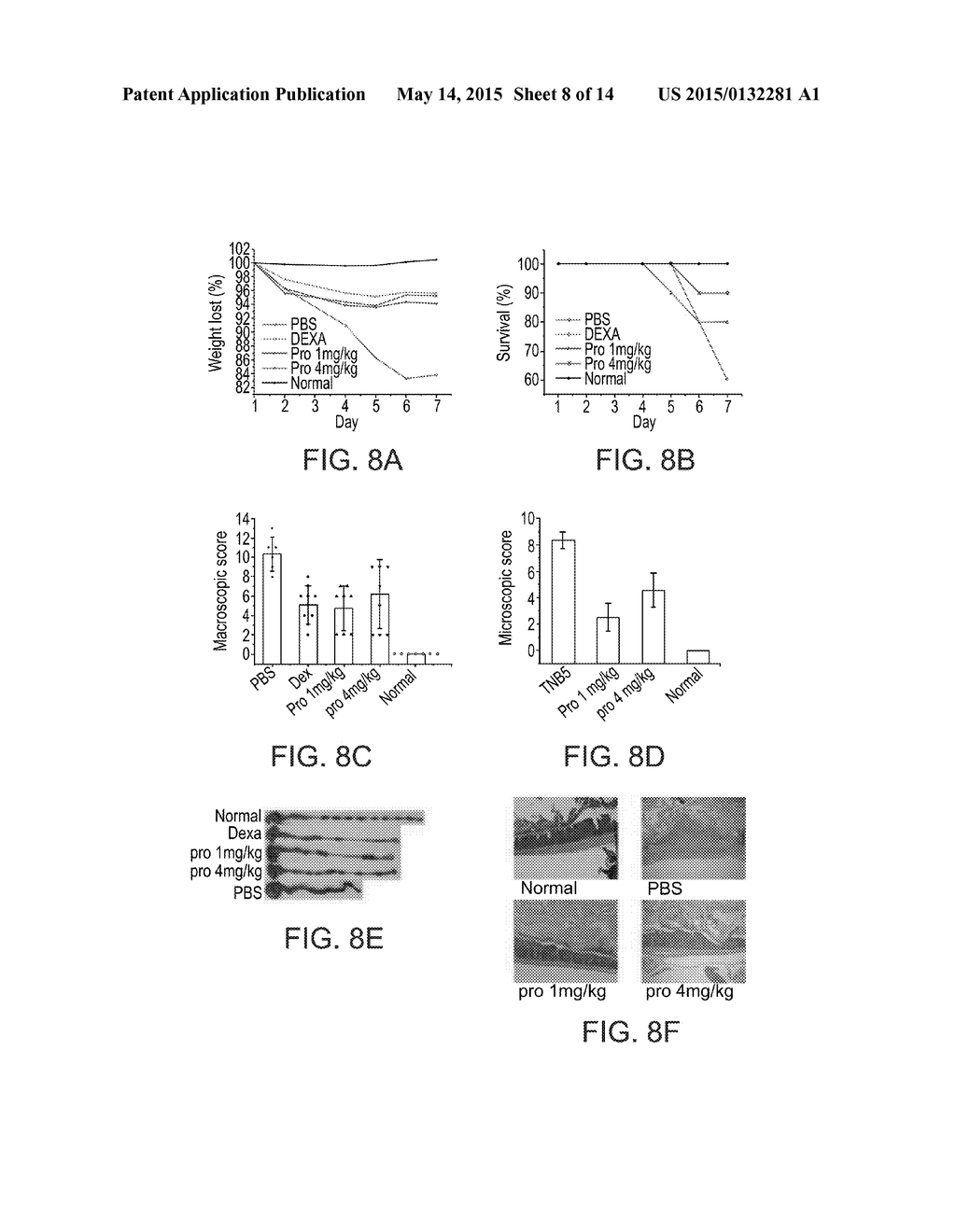 VARIANTS OF TACE PRO-DOMAIN AS TNF-A INHIBITOR AND THEIR MEDICAL USE - diagram, schematic, and image 09