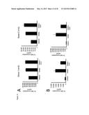 ANTI-CD134 (OX40) ANTIBODIES AND USES THEREOF diagram and image