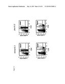 ANTI-CD134 (OX40) ANTIBODIES AND USES THEREOF diagram and image