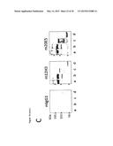 ANTI-CD134 (OX40) ANTIBODIES AND USES THEREOF diagram and image