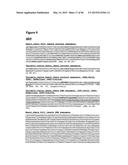 METHODS OF PREVENTING OR TREATING PAIN USING ANTI-NGF ANTIBODIES THAT     SELECTIVELY INHIBIT THE ASSOCIATION OF NGF WITH TRKA, WITHOUT AFFECTING     THE ASSOCIATION OF NGF WITH P75 diagram and image