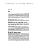 METHODS OF PREVENTING OR TREATING PAIN USING ANTI-NGF ANTIBODIES THAT     SELECTIVELY INHIBIT THE ASSOCIATION OF NGF WITH TRKA, WITHOUT AFFECTING     THE ASSOCIATION OF NGF WITH P75 diagram and image