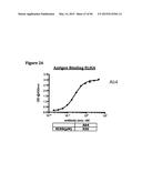 METHODS OF PREVENTING OR TREATING PAIN USING ANTI-NGF ANTIBODIES THAT     SELECTIVELY INHIBIT THE ASSOCIATION OF NGF WITH TRKA, WITHOUT AFFECTING     THE ASSOCIATION OF NGF WITH P75 diagram and image