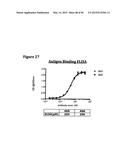 METHODS OF PREVENTING OR TREATING PAIN USING ANTI-NGF ANTIBODIES THAT     SELECTIVELY INHIBIT THE ASSOCIATION OF NGF WITH TRKA, WITHOUT AFFECTING     THE ASSOCIATION OF NGF WITH P75 diagram and image