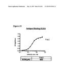 METHODS OF PREVENTING OR TREATING PAIN USING ANTI-NGF ANTIBODIES THAT     SELECTIVELY INHIBIT THE ASSOCIATION OF NGF WITH TRKA, WITHOUT AFFECTING     THE ASSOCIATION OF NGF WITH P75 diagram and image