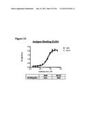 METHODS OF PREVENTING OR TREATING PAIN USING ANTI-NGF ANTIBODIES THAT     SELECTIVELY INHIBIT THE ASSOCIATION OF NGF WITH TRKA, WITHOUT AFFECTING     THE ASSOCIATION OF NGF WITH P75 diagram and image